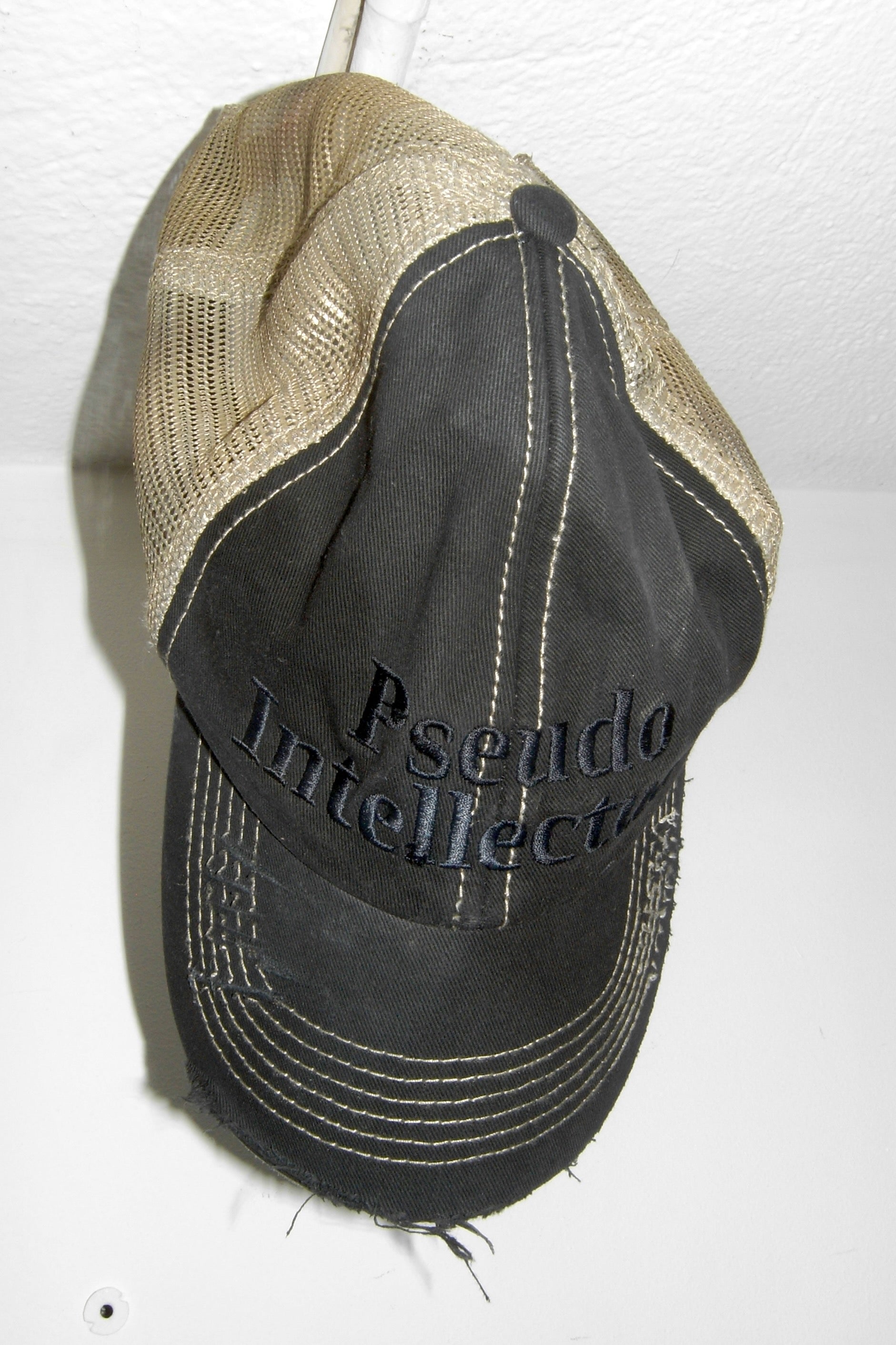 Pseudo Intellectual Studio Hat -  Box Dye