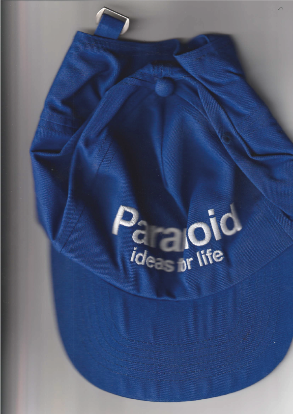 Ideas for Life BLUE HAT
